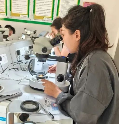 广州南华工贸技师学院 广州南华工贸技师学院